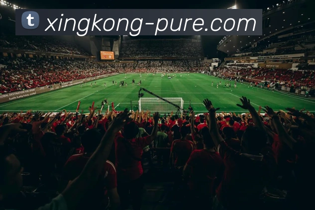 星空体育APP 封面图